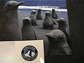 �y���M��