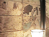 �C�i�_�q��