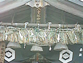 ���d�_�_��