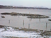 �O���[���p�[�N