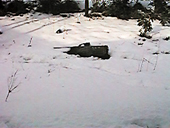 �E�i�M���