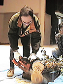 ���{����